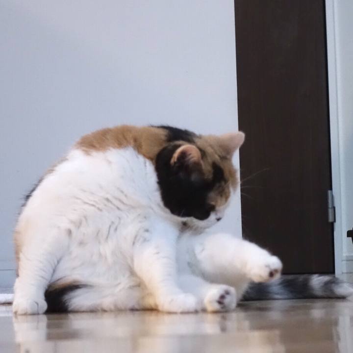 9c3e889b 016c 43d4 a754 f9643ac465c4 1537155559169