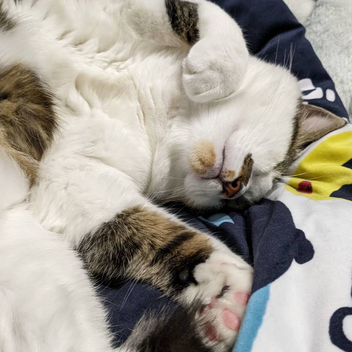 9c3e90f0 449c 4a61 ba3b 287f4719ceba 1668919984404