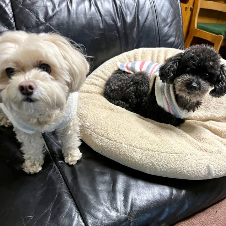 9c3e984e c674 43d6 a688 e3725e49dcf2 1766311152267