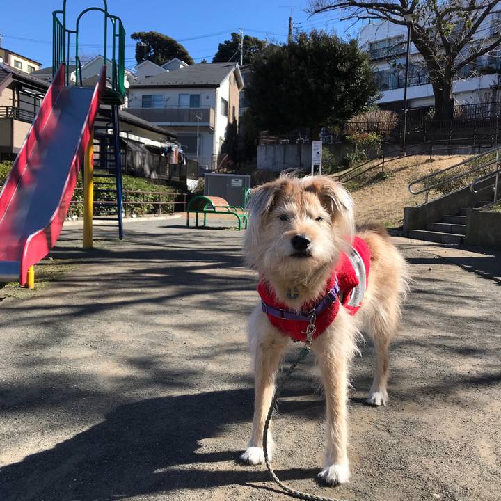 9c3ea43d b8db 4354 bcc4 27320be21e71 1581224269822