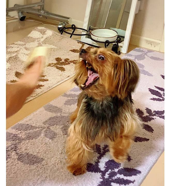 9c3eaa4b b36e 4d7a a5b1 a8953e94036a 1568503336296