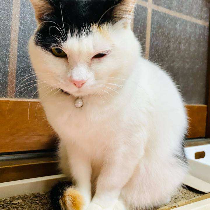 9c3ee080 ef13 4d37 8c93 0ddc8a71312b 1679142999855