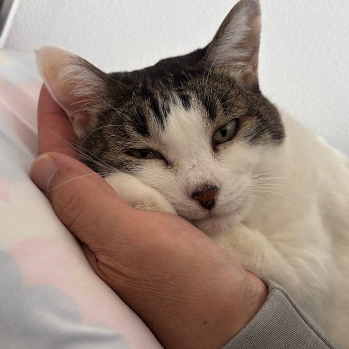 9c3ef3ad 5752 4d62 9cc9 cbe613f94cda 1762303180109