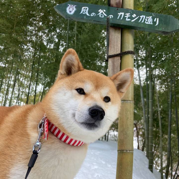 9c3f0db8 609d 40a0 8e3b 5277b1ea1755 1643023780790