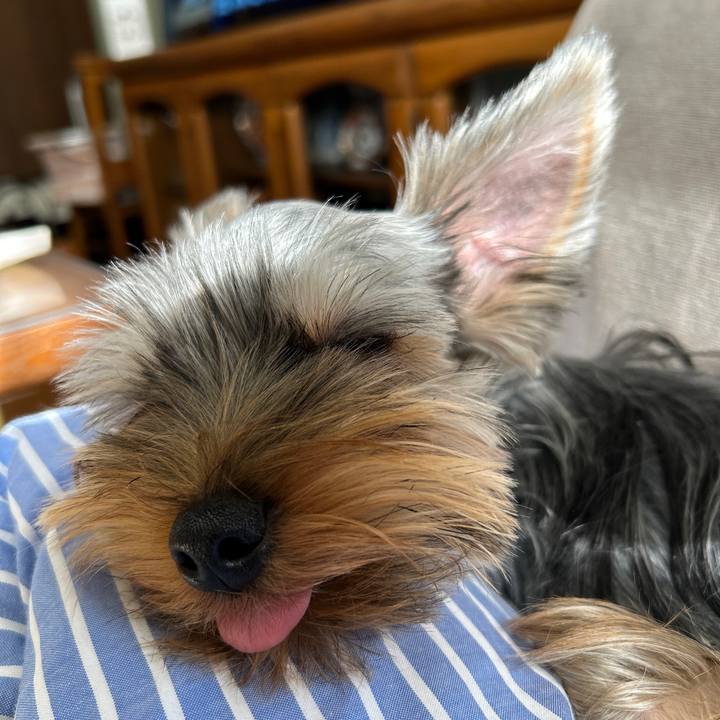 9c3f292c 26e1 4cac 93a7 3a06397dcebc 1729396756181