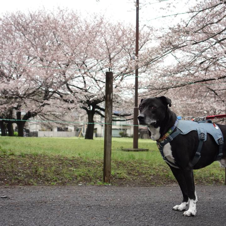 9c3f32ae 4108 4998 9f94 f25f085f68d0 1712192253915