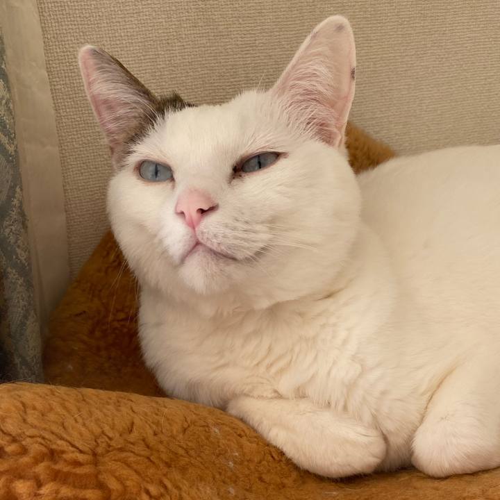 9c3f681c 087d 4274 862b 00ac3bda2d4b 1738029366588