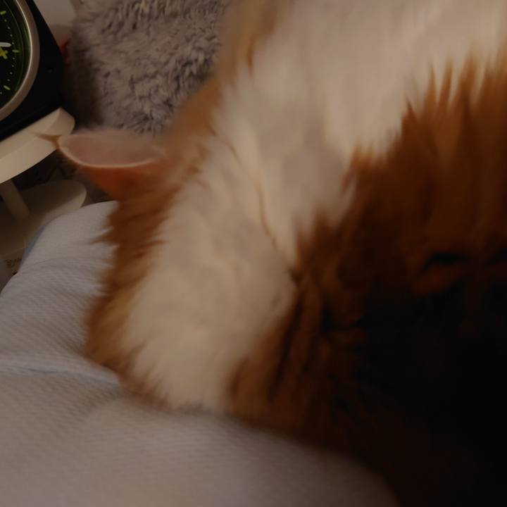 9c3f6a53 cb70 4a8e bcba 224dc8c1038f 1684161411136