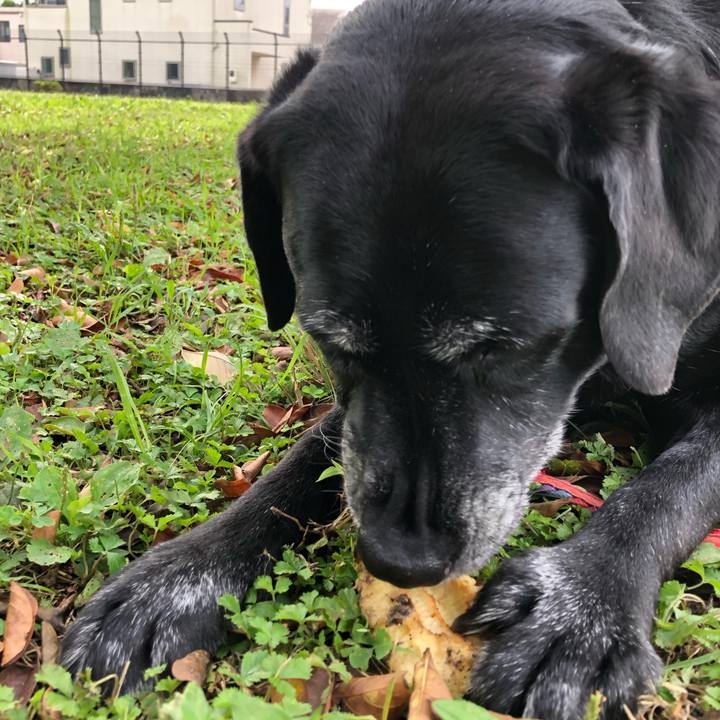 9c3fb328 e4ec 4460 a78b d3b9d9b018b0 1603170597010