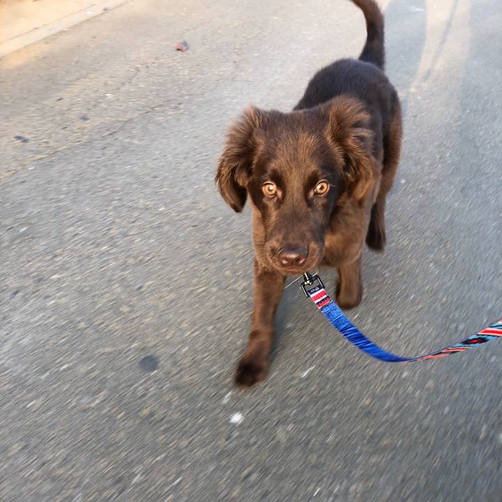 9c3fc0f0 47bb 4280 8db4 8f96da319ab8 1553723949095