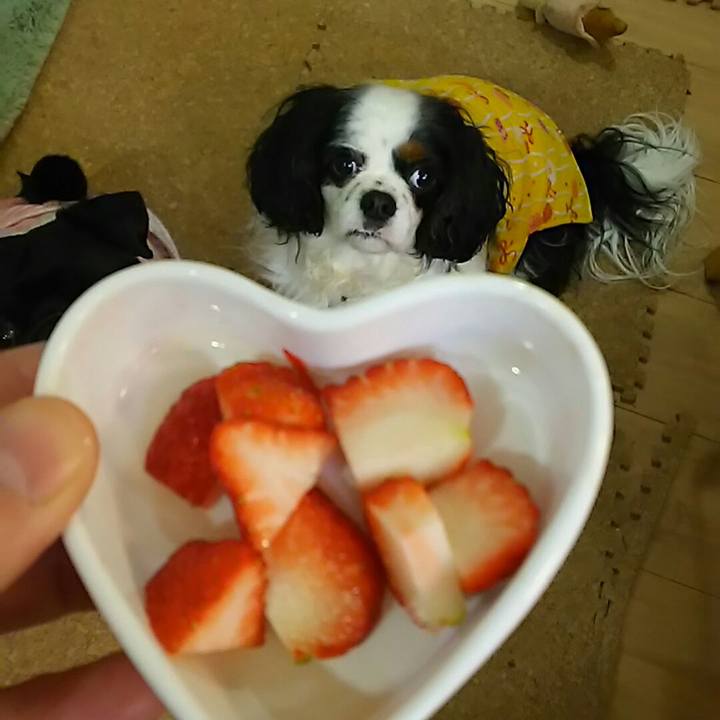 9c3fcb65 9732 4eec b249 176a2ab15ddd 1549538758573