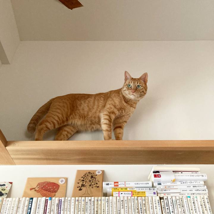 9c400a2f 87d2 4c05 8fb3 084d269e87c7 1621258829713