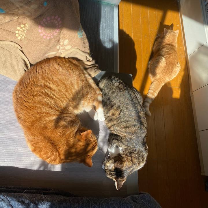 9c40223f 7e8b 4b96 8de3 63cbae10f3ef 1644205868417