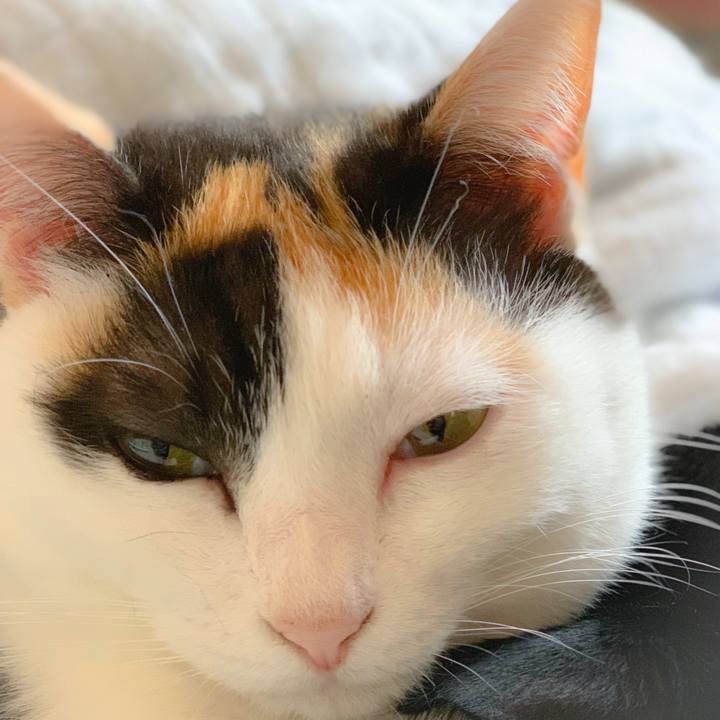 9c402be0 3e0f 44c3 b886 4d03fc8b2188 1558750511940