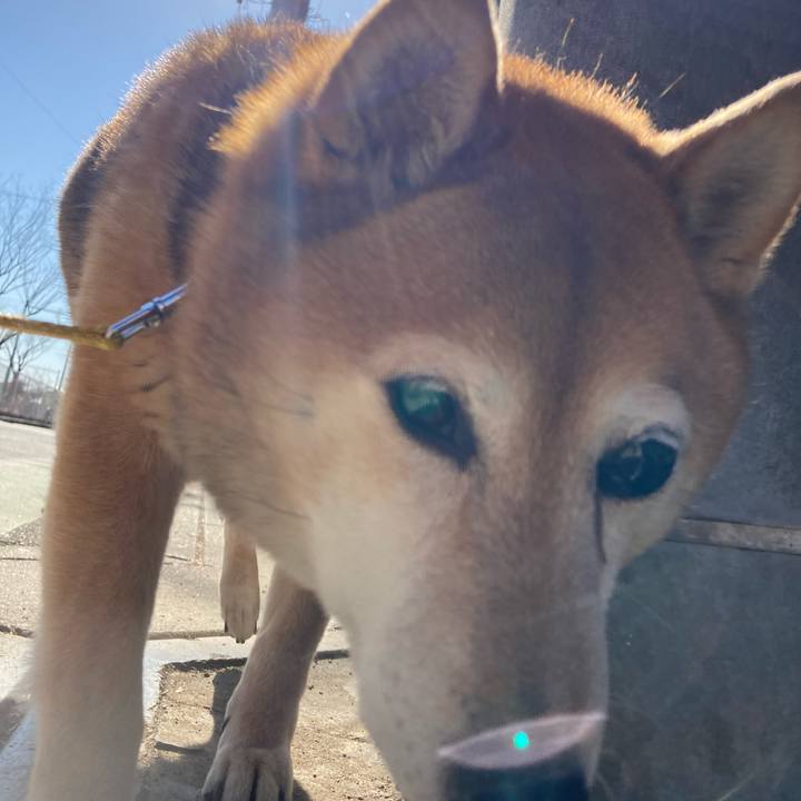 9c40395c 4866 4ee1 ab40 db6f1fd6c345 1644384408696