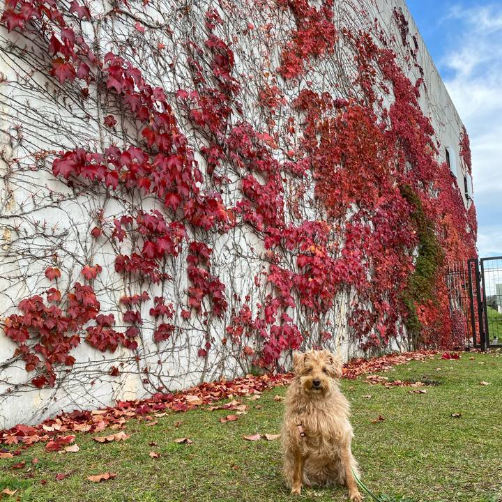 9c403f90 6436 42e3 b0a9 b311ec85f6f6 1634342893433