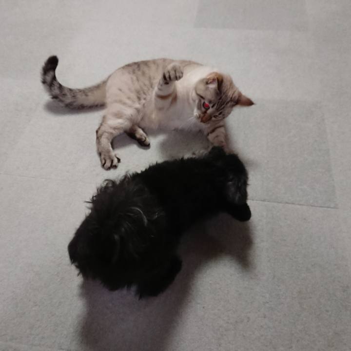 9c40461a c6a2 403e 8281 1866100bf811 1573466203821