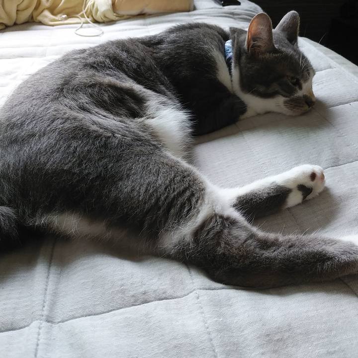 9c4051f1 e3e9 46da 8e8b fb20a768f1e7 1595456038389