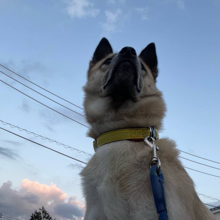 9c40b10b 1557 4374 a7f9 cd95d435f192 1639135171228