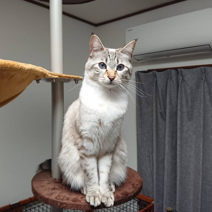 9c410971 89ee 4c29 b555 6ddf22f9f8c0 1521714400194