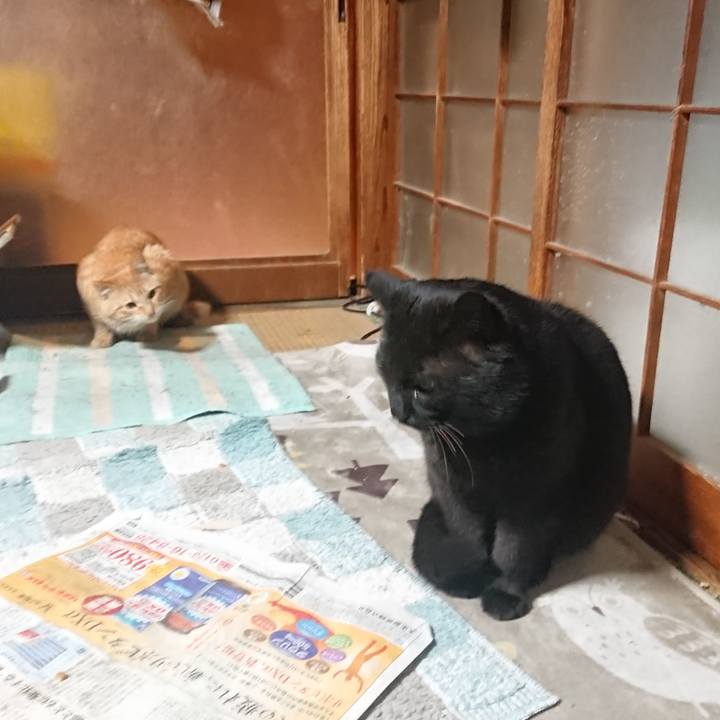 9c411738 431d 4853 b2f1 b6a9abc4cded 1647517462515