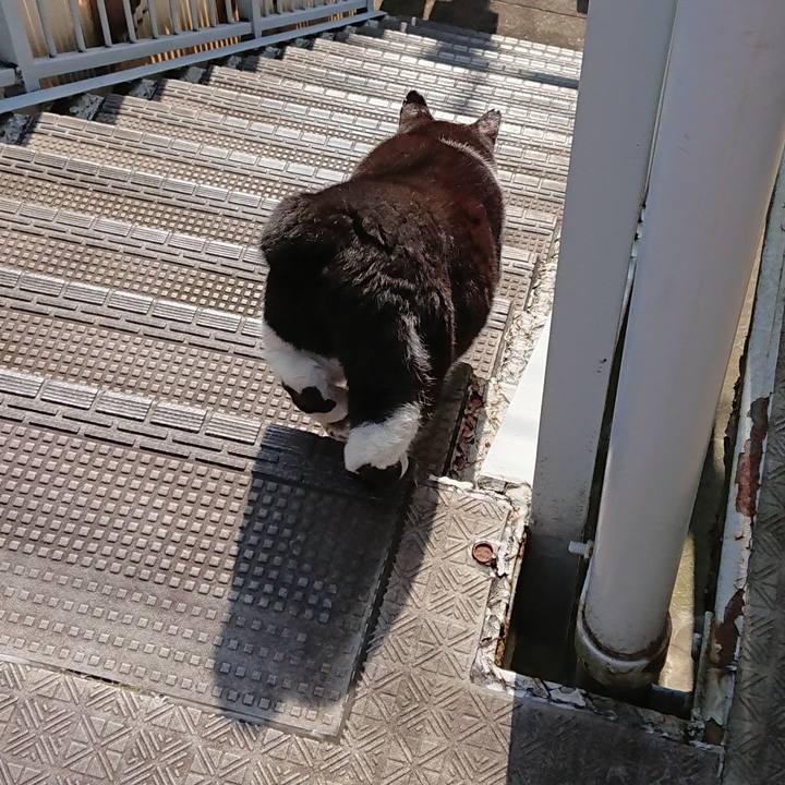 9c41956b eeaa 456d 96e4 a8f2925e4908 1627779367518