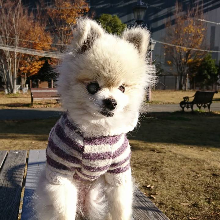 9c41bcca 90e4 44b0 bd81 3adc74b1bda3 1512198961689