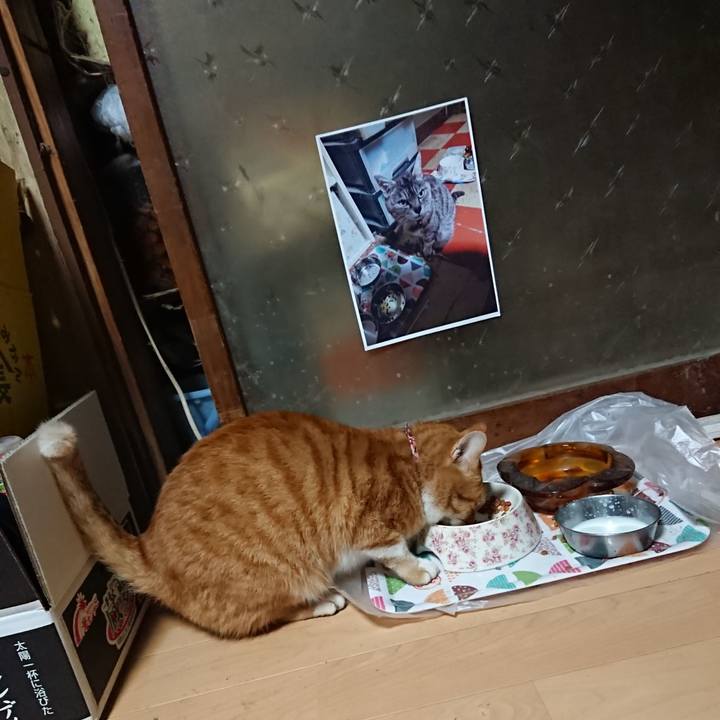 9c41bea8 f658 40c6 887e a0d3203e6911 1602014354960