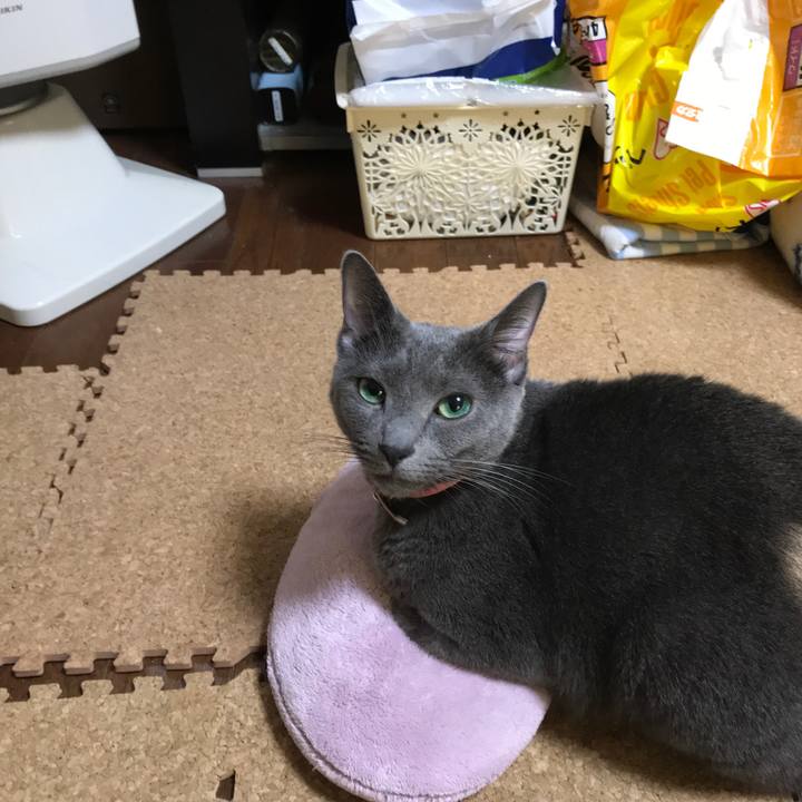 9c41df44 3e1f 4cfd 9acb 080346b1cfae 1511742131255