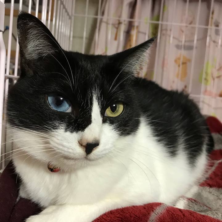 9c41e453 621a 4866 a6a8 c4bbedf539e0 1541843280660