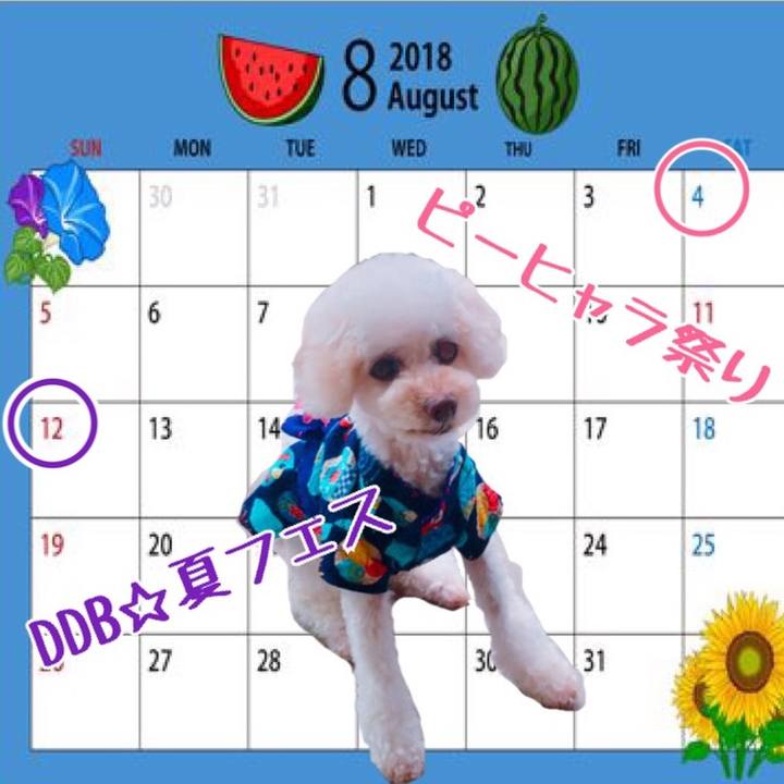 9c41fd14 eb96 40f2 a0a6 4dc083176e27 1533022679420