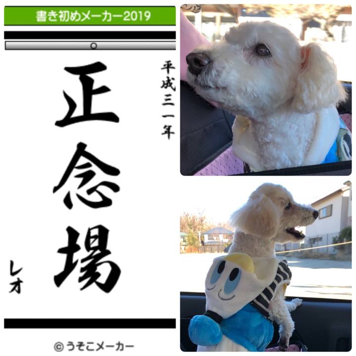 9c41fdb8 43f1 4566 b939 7de8683f950d 1546526153205