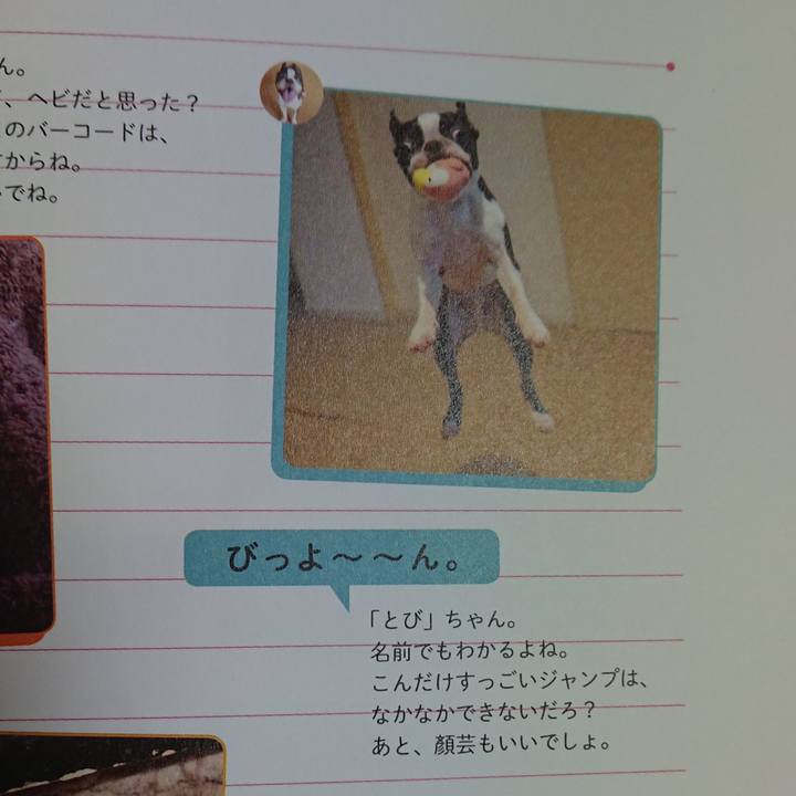 9c41fe18 9784 4bf3 8945 1b65bf7f4664 1556183332279