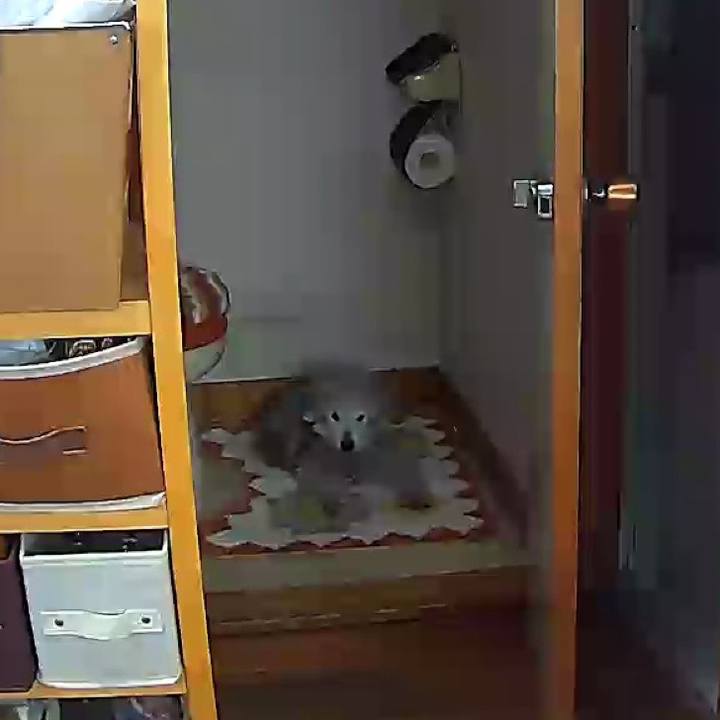 9c420bdc 80b2 47e8 8c09 36029a282e82 1698106754876