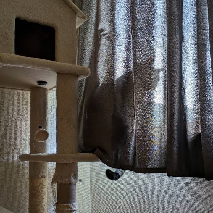 9c4255d8 f133 4f0f ba73 9d820a791e27 1715724720319