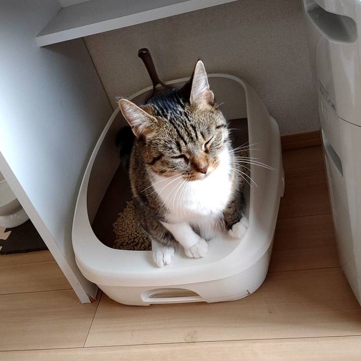 9c425903 1e67 4aae 8005 be5e7fc98541 1660602144565