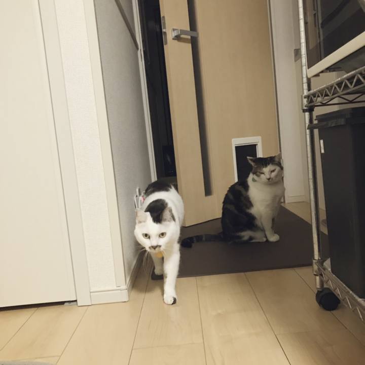 9c425e17 c783 4cd0 b1de 43f88ad880f1 1545396764844