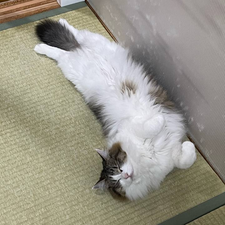 9c42a7a4 0f65 418f b9ed 93cdde1d8eb7 1747018170702