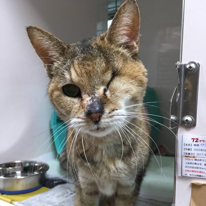 9c42f1ac d844 4f7b 9f4d ea3e10b736e1 1514695270500