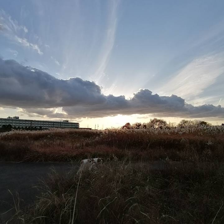 9c433326 38cd 4198 917f c8cb6bc9b484 1576843825751