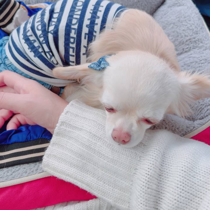 9c4335b9 043b 4b9d 8eeb 9be37dfba387 1704203252127