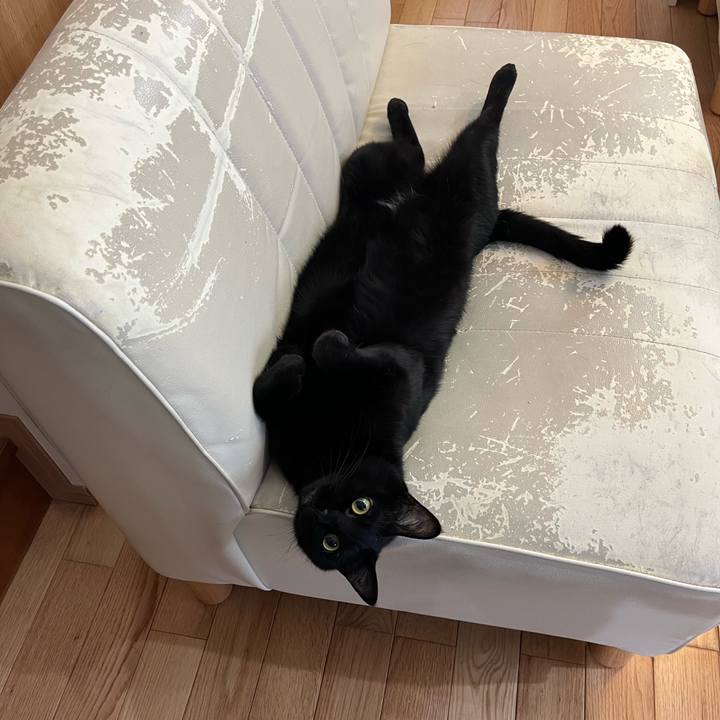 9c437b61 d7ff 4c31 9afd a4bf0eead8c2 1713743731222