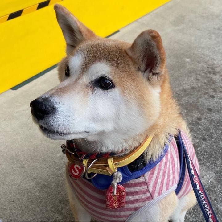 9c439387 d028 457a 815f 90f872f9eb9b 1706312770268