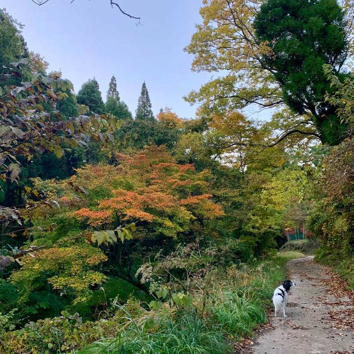 9c43b1e0 4df2 411f 89ca be102b45d5be 1605053932640