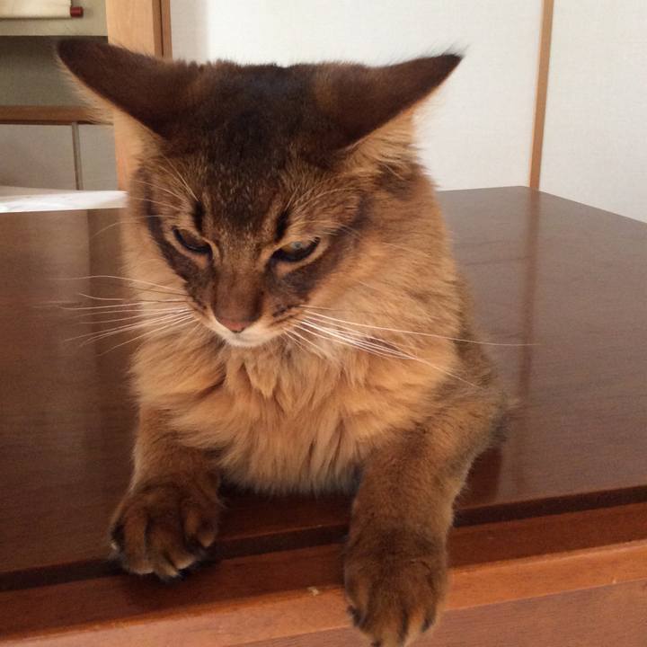 9c441ae5 3585 4eed 9561 efb1a284cea0 1591521983491