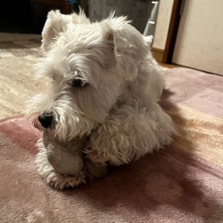 9c443b56 c107 4429 acbf 6ee65cebd327 1761308322951