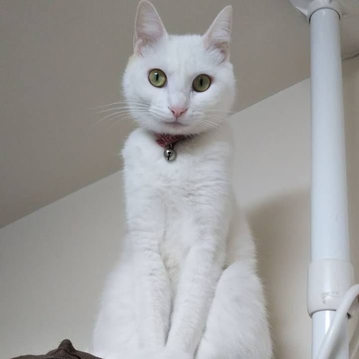 9c44454a ff0c 4a44 b73c c3c8da5d6d40 1638060201274