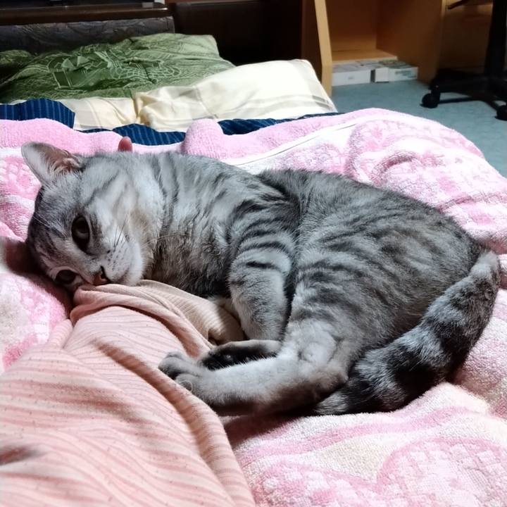 9c445691 5582 4c23 a6cc ae533aa751a6 1633876787602