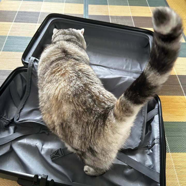 9c446fef c11d 478e 8cea 2e9d125c0f60 1762210050631