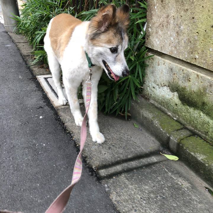 9c4484bc 56f8 4110 9af2 0df0c42ae5c6 1533778998105